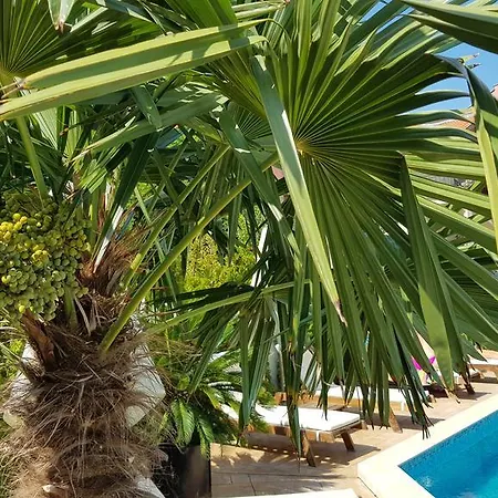 Aria Complex Apartahotel Sveti Vlas